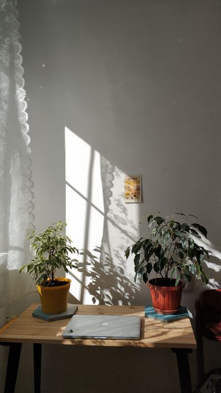 Creating a Cozy and Inviting Home Office: Simple Tips for Comfort